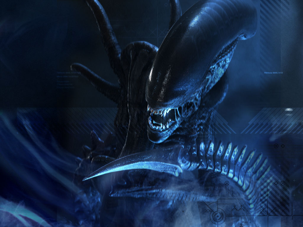 Download Alien Vs Predator Celtic Side View Wallpaper
